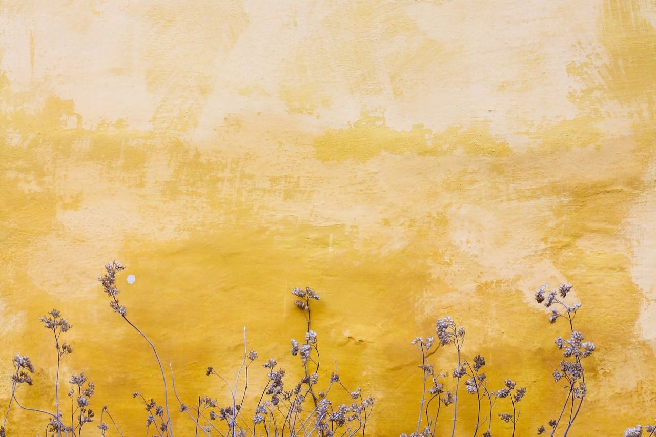 Is your sustainability story hiding in the footnotes?